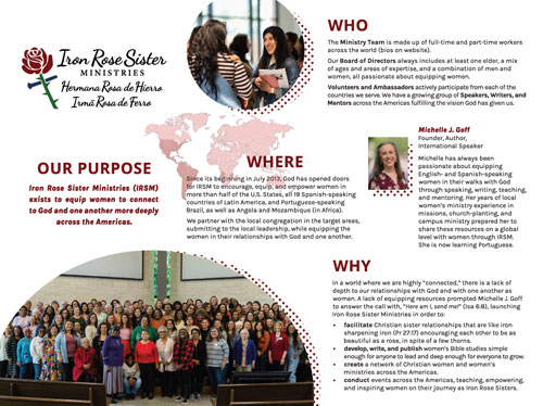 2025 IRSM brochure thumb