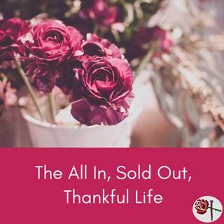 allin soldout thankful life